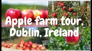 Apple farm tour, Dublin, Ireland