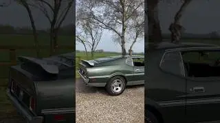 New Arrival - Fully Restored 1971 Mustang Mach 1 - What Is Your Favorite Spec?
