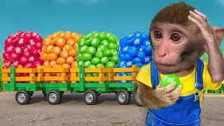 Monkey KaKa go harvest Rainbow M&M Candy by Color Tractor on farm with puppy