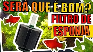 🔴FILTRO DE ESPONJA/ESPUMA É BOM? VALE A PENA?        |Mr. Betta|