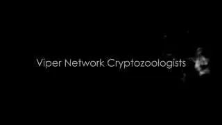 Viper Network Cryptozoologists Intro