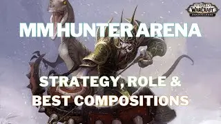 MM Hunter Arena Strategy, Role & Best Compositions | WoW SL | World of Warcraft