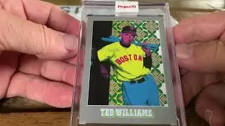 457sports. TOPPS PROJECT 70 CARDS. SNOOP DOGG, MICKEY MANTLE, TED WILLIAMS, ACUNA JR, BO JACKSON