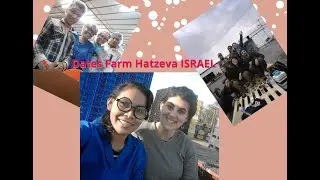 Dates farm - Hatzeva Israel 🇮🇱