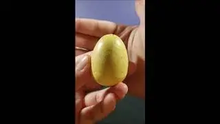 Opening Hatchimals Colleggtibles Season 3 Hatch Friends Forever! Phone Test Video!