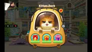 Playing Kitten Match for 1 hour #kittenmatch