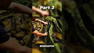 bushcraft building a shelter #architecture #bushcraft #jungle #survival #shorts