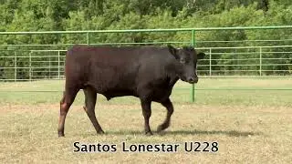 RSTF23U228 SANTOS LONESTAR U228 (ET)
