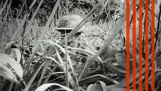 Going on patrol during the Vietnam War – My Father's Brothers film clip