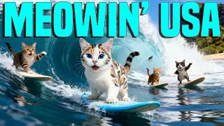 Meowin&rsquo; USA &ndash; The Surf Song You Didn&rsquo;t Know You Needed 🐱🌊