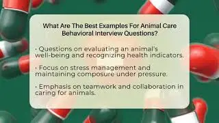 What Are The Best Examples For Animal Care Behavioral Interview Questions? - Animal Care Jobs
