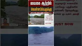 Flood in Vaigai River! | Vaigai River