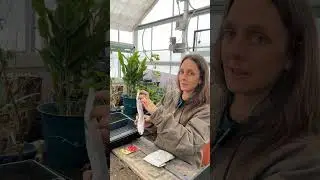 Microgreens with Sarah Karlson