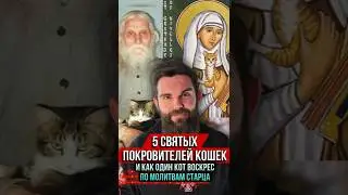❗️Пять святых покровителей кошек. И один кот воскрес по молитвам старца