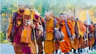 Why the Buddhist Monks&rsquo; Walk for Peace Matters More Than Ever Today.