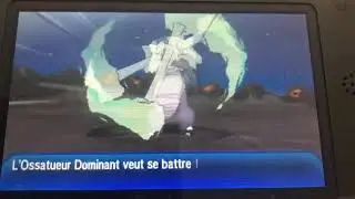 Mothim-only Totem Marowak