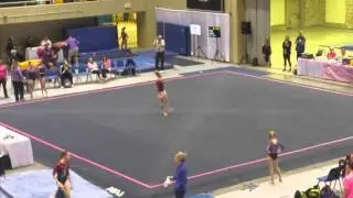 Savannah Floor Level 8