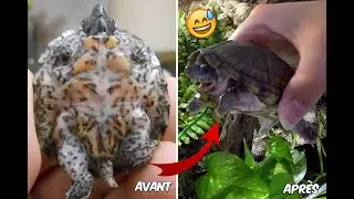 ÉNORME la différence en moins de 4 ans !