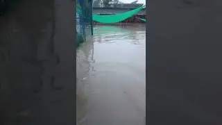 Noida sector 135 #animal #dog bording #doglover