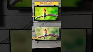 comparison of video quality of LG and Panasonic 32 inch smart LED TV