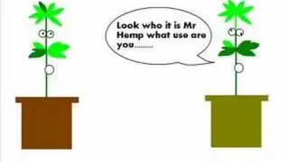 Hemp Story