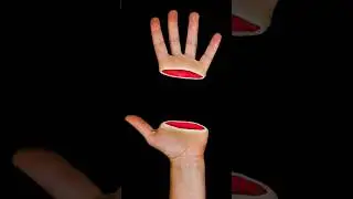 That's a naughty hand! #illusion