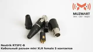 Neutrik RT5FC B Кабельный разъем mini XLR female 5 контактов
