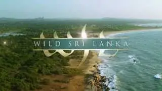 Wild Sri Lanka - Coast of Giants Teaser