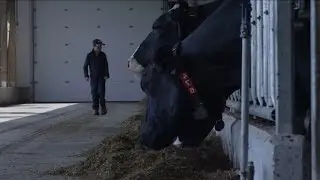 More At Stake Than The Barn