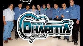 AGRUPACI&Oacute;N  DHARMA PER&Uacute; / MALA ME  TRAICIONASTE / CONCIERTO EN VIVO