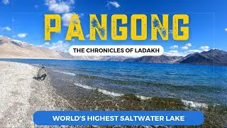 Pangong Lake Ladakh - Pangong Lake to Leh via Chang La Pass | The Chronicles of Ladakh - Ep 43
