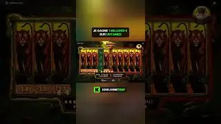 JE GAGNE 1 MILLION SUR CETTE NOUVELLE SLOT UNTAMED #casino #kick #teufeurs