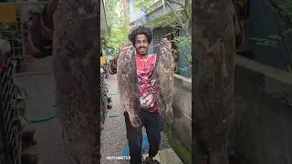 ഈ സീസണിലെ ആദ്യത്തെ കടൽ കറുപ്പ് HAMOUR FISHING KERALA #shorts #shortvideo #short #trending #ytshorts