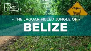 The Jaguar filled Jungle of Belize - Behind the Shot