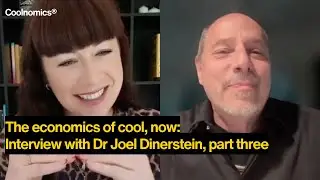 Coolnomics&reg; Interview with Dr Joel Dinerstein Part Three: The Economics of Cool, Now