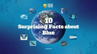 10 Surprising Facts About the Color Blue |The Power of Blue: 10 Surprising Truths