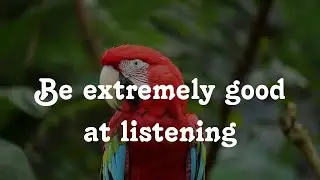 Being extremely good at listening | Learn English vocabulary | Reading and Listening skills