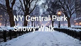NY Central Park   Snowy Walk