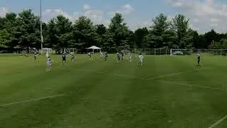 Ryder Summer Highlights