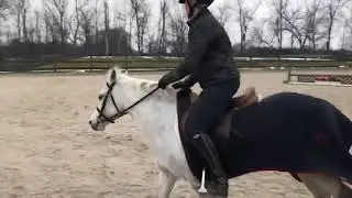 Prim lead change video