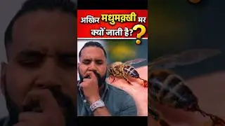 Why Does a Honey Bee Die After Stinging? 🐝😲#shorts