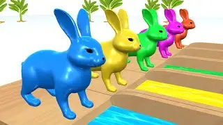 Animals colour 5 Little Rabbit 3d Animal Fountain Crossing Transfiguration Paint & Animals