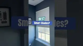 Best Smart Shades?