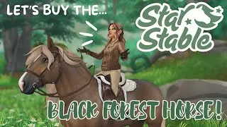 Шварцвальдская лошадь уже здесь! ✨ Star Stable Online