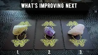 🌹 Pick A Card - What's Improving Next