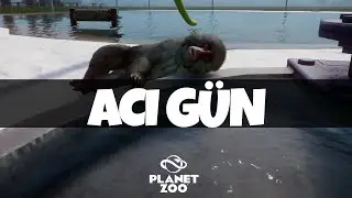 ACI G&Uuml;N! - PLANET ZOO
