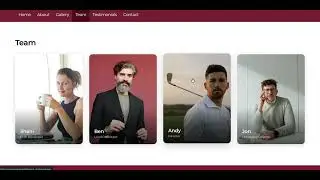 Professional Staff & Team Profiles | Pingala Core Add-on
