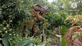 All new animals. The mumbai Zoo.