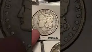 Morgan Dollar Mystery: Cleaned Coins & Dealer Secrets Revealed!