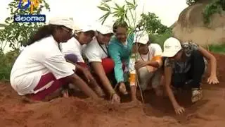 3rd Phase of Harita Haram | Govt Plans for Public Participation | A Report